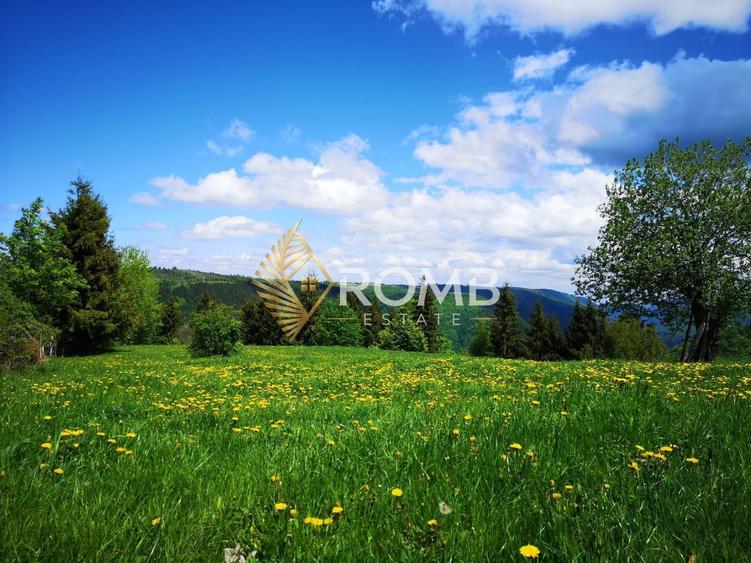 Teren Construcții extravilan de 8518 mp, în Mărișel