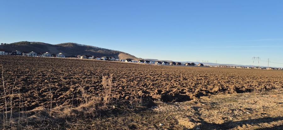 Teren constructii Livada Sanpetru zona Macesului - 1