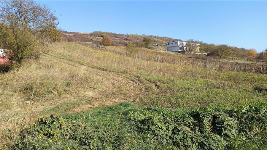 Teren Intravilan langa Dunare!  Disponibil la 15 Euro mp - 2