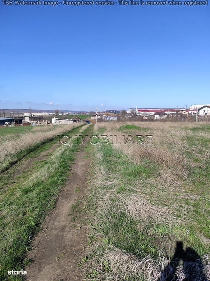 Teren intravilan industrial, iesire Pacurari, zona reprezentanta Skoda - 6