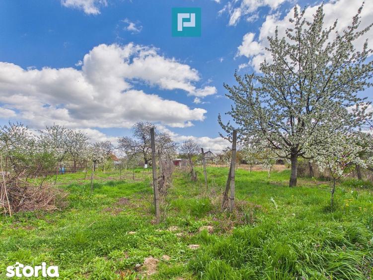 Casa cu teren 1.151mp la 25 km de Oradea, Sisterea - 19