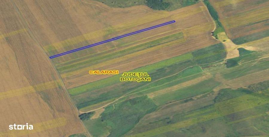 Teren extravilan cota parte 1/4, Calarasi, Botosani, ID: R2924968 - 5