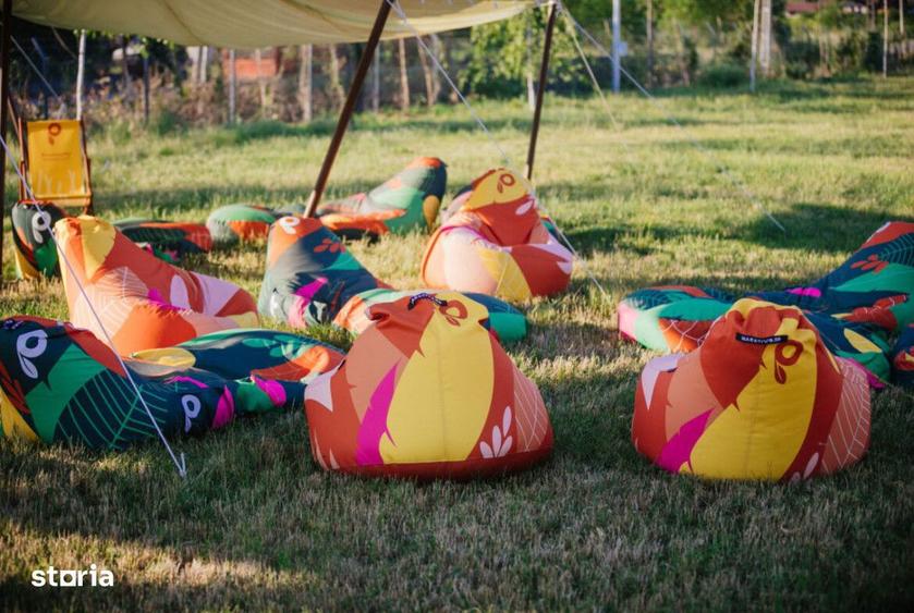 Teren intravilan 40.100mp, infrastructura complexa, Busag - 2