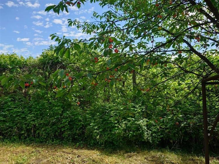 Casa, anexe si teren amplasate central in municipiul Brad - 14