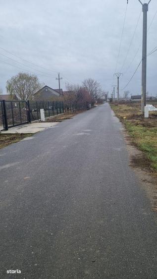 Vanzare Teren construibil 500mp 1 Decembrie Ilfov - 7