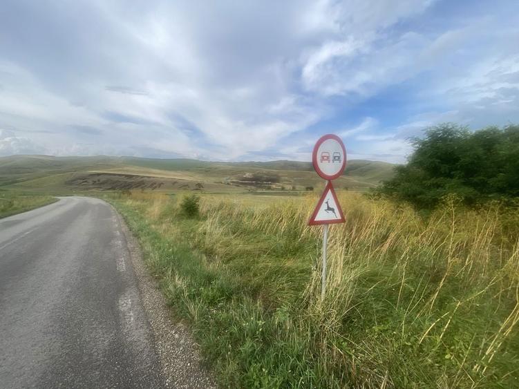 Vand teren cu cf intre Cojocna si Iuriu de Campie - 6