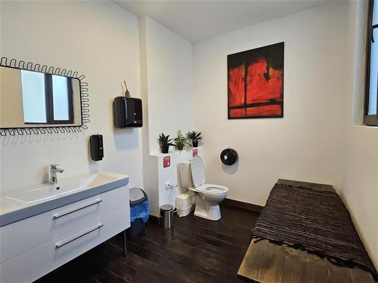 Inchiriere vila reprezentativa - pretabila birou, ambasada - 14