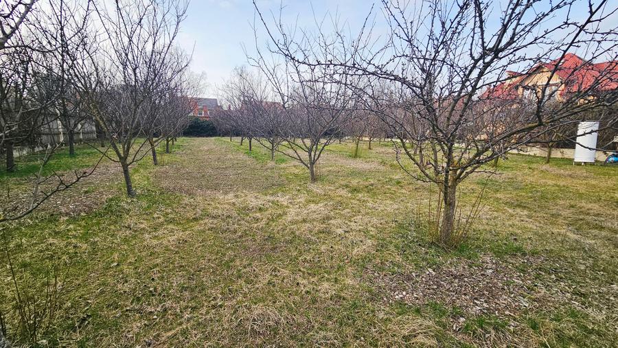 Teren zona Pipera - Iancu Nicolae | Pretabil constructie resedinta | Investitie - 4