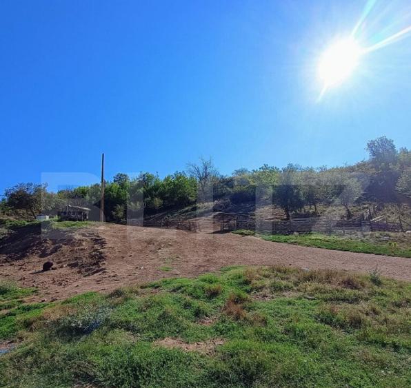 Stana 17.000 mp, Boldesti-Scaeni. - 1