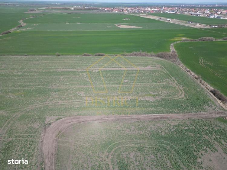 Teren industrial de vanzare Covaci | 14.000 mp | Acces direct viitoare - 1