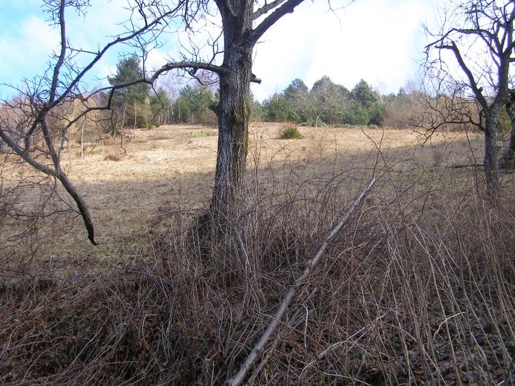 Teren intravilan  Brasov - 3