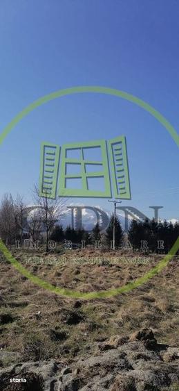 Exclusivitate! Teren intravilan, ttrifazic 44kw, urbanism, toate avize - 3