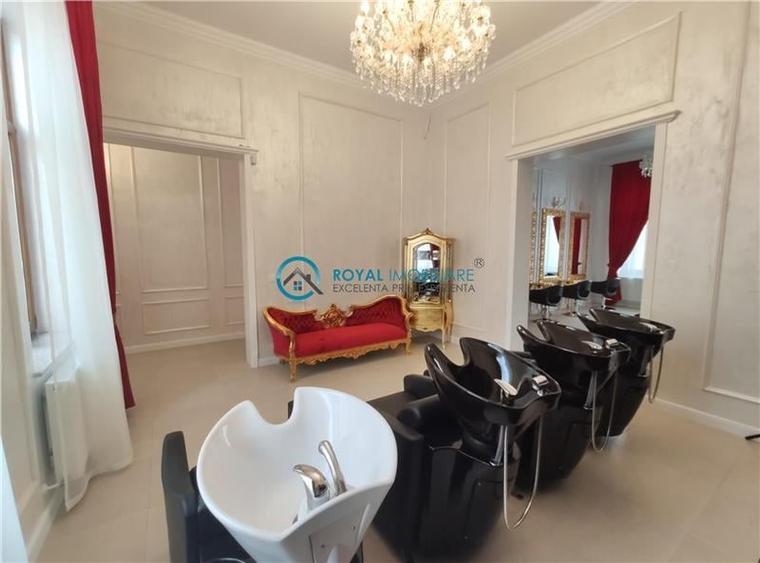 Royal Imobiliare -vanzari vile zona Ultracentral - 15