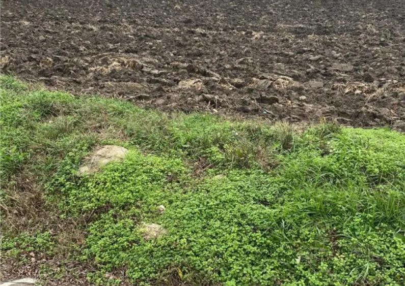 Teren Extravilan 10.000 mp in Prahova - 1