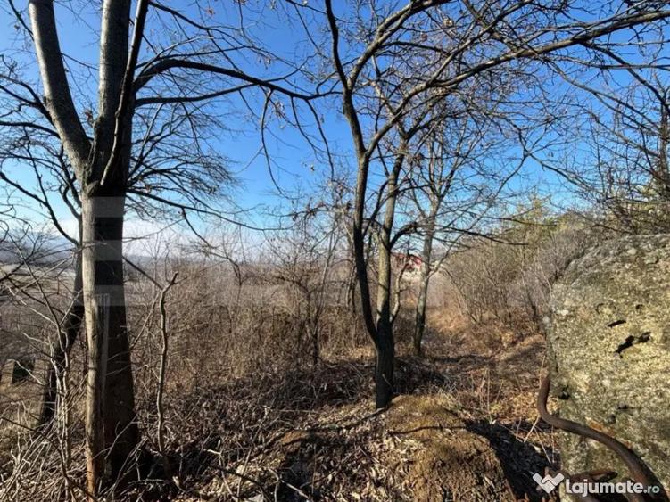 Teren intravilan de vanzare, 17700 mp Zalau - 1