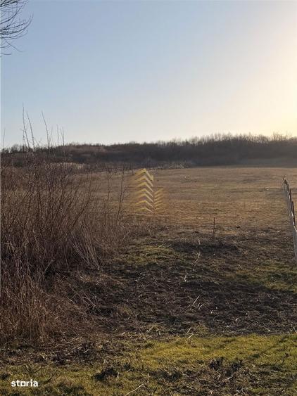 DE VANZARE TEREN EXTRAVILAN - 3