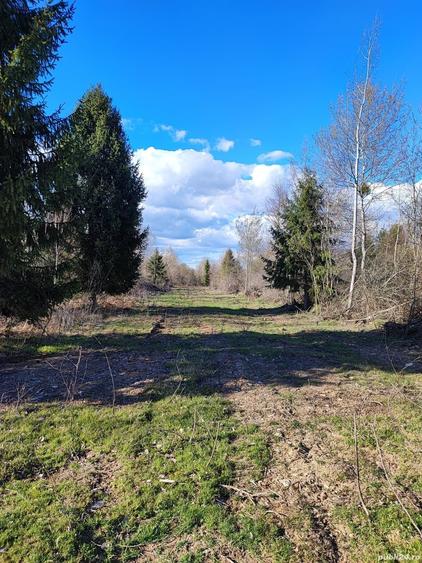 Teren de 2100 mp, în Central