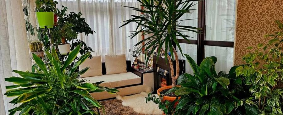 Casă 4C Valea Lupului-Iași - 4