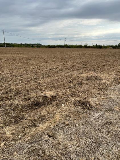 Vânzare terenuri intravilane – Cocosesti, jud. Prahova - 1