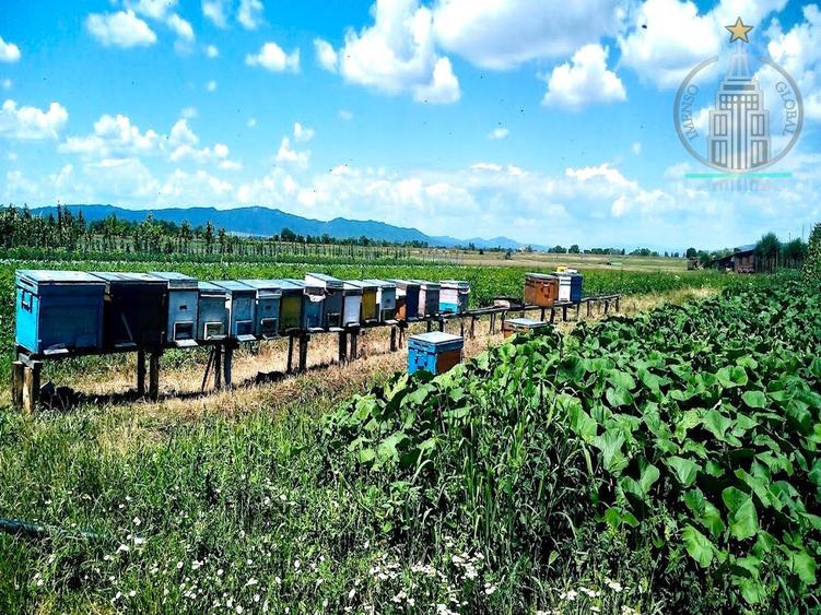 Investitie potential deosebit - Domeniu pe 20.400 mp teren intravilan, Brasov - 5