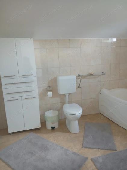 Vand, schimb casa in Ineu, jude?ul Arad - 4