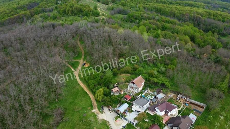 Teren de vanzare in Curtea de Arge?, strada Paune?ti. - 4