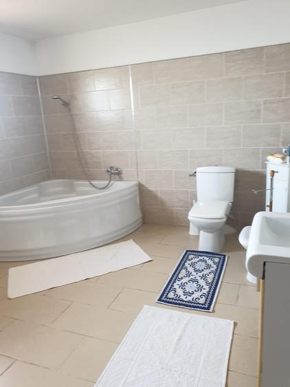 Vila individuala-la bulevard -Berceni IF - 9