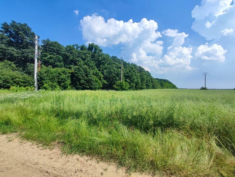 Corbeanca-teren-PUZ-proiect-avans cu rest de plata in 5 ani - 12