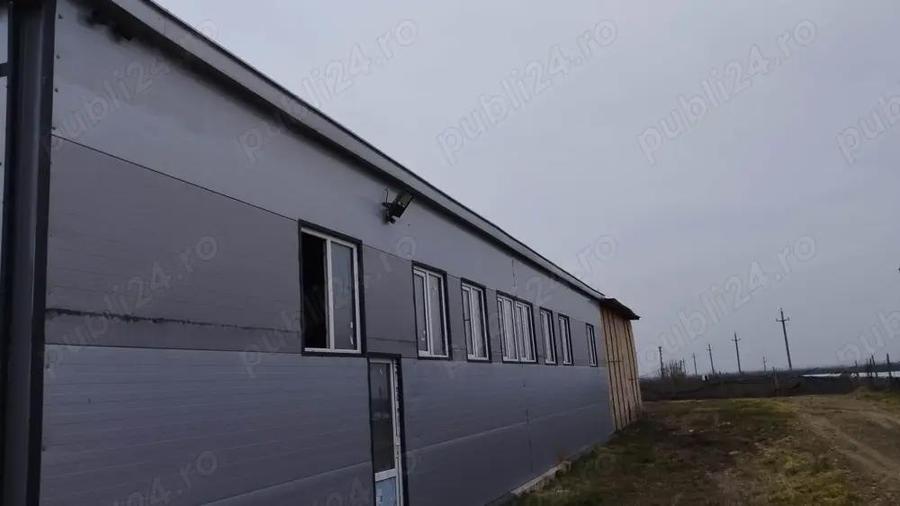 Hala Industriala pentru productie si depozitare - 3