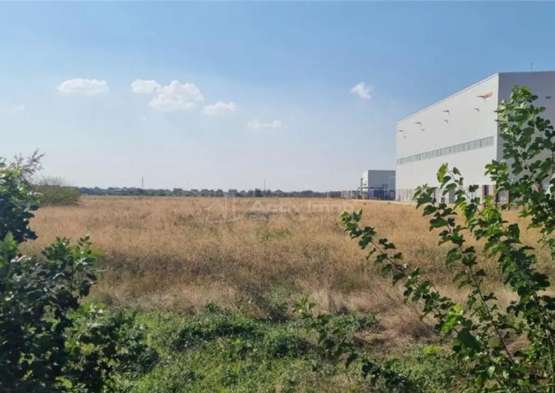 Teren 25000 la 4 benzi deschidere 70m - 3