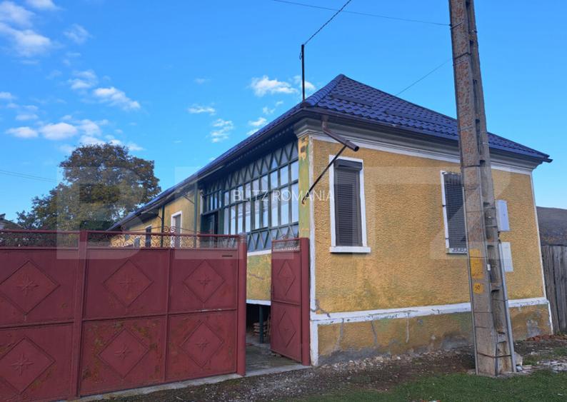 Casa individuala de vanzare in satul Zizin, jude?ul Bra