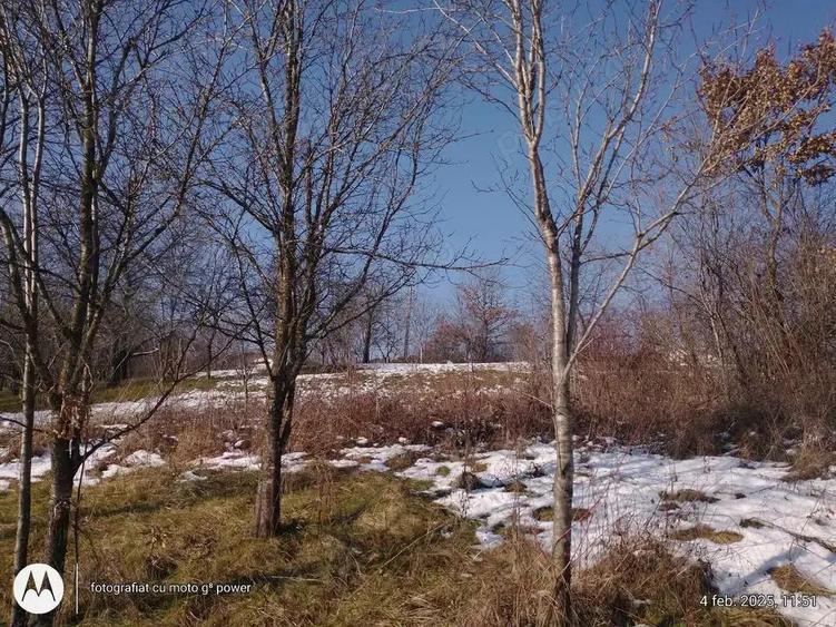 Pret excelent ! 750 eur Berchez,teren intravilan frumos cu utilitati - 3