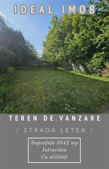 Teren De Vanzare Str letea - 3842 mp - 1