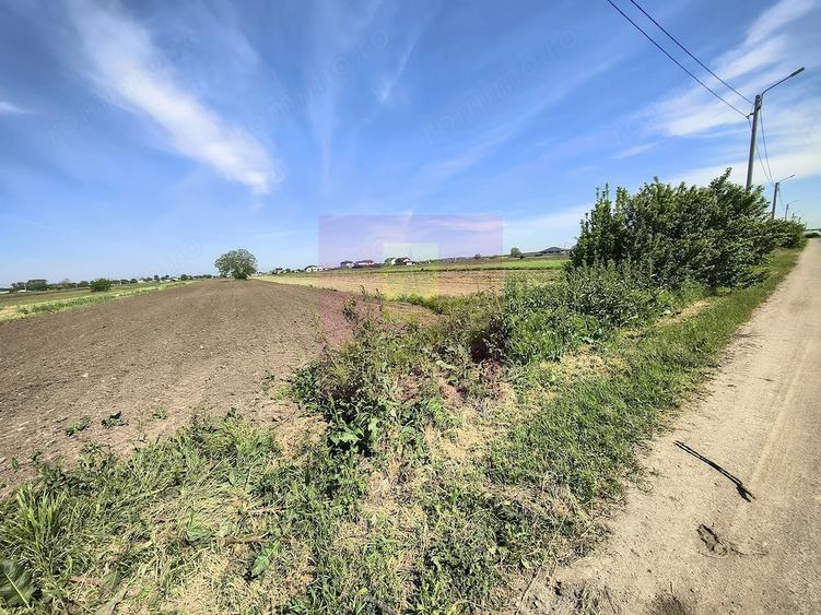 Teren de 4770 mp, în Dărăști-Ilfov