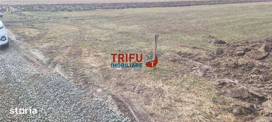 Teren de 1440 mp, în Ighiu