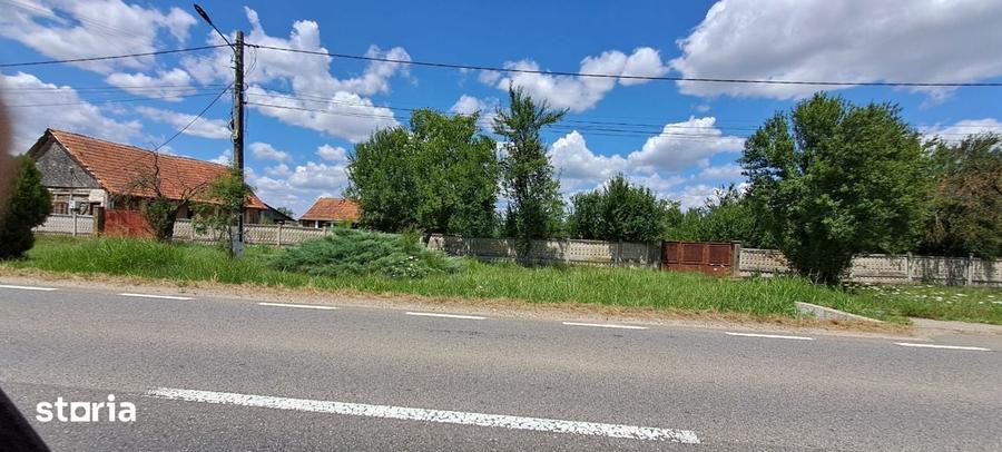 Casa veche din 1955 si teren intravilan 6153 mp, Sinersig,Jud Timis - 10