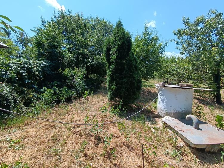 CASA CU TEREN 1000 MP,TOMESTI ,COMISION ZERO - 52