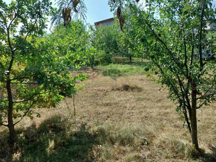 Casa de vanzare Dealul Zorilor Ia?i - 5