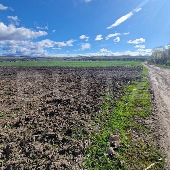 Teren agricol extravilan de 15000 mp, în Bod