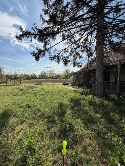 Vand casa in Dorobanti - 2