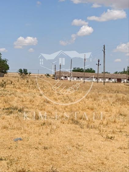 Ferma Pantelimon 10 hectare - 4