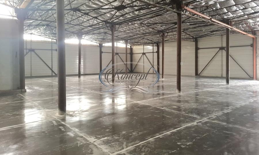 Hala ideala pentru productie sau logistica, pe Calea Baciului - 3