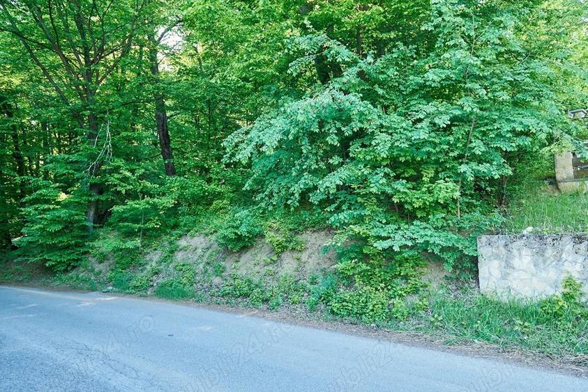 Vand teren 5000 mp, Schitul Tarata, Iasi - 3