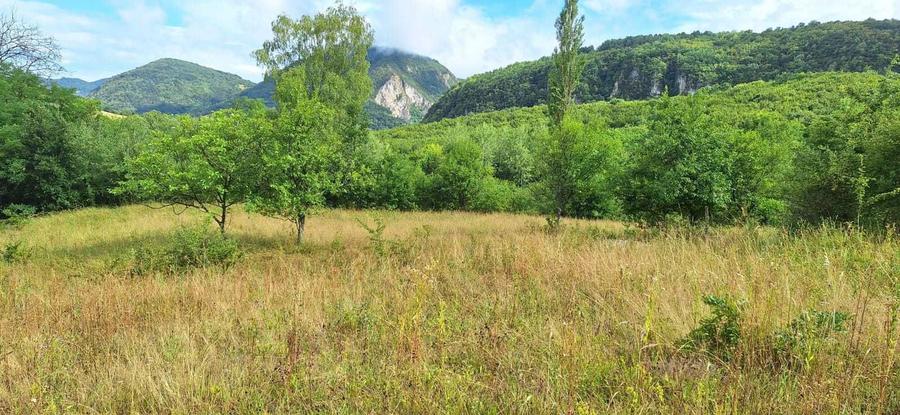 Teren pentru Casa de Vacanta - 4