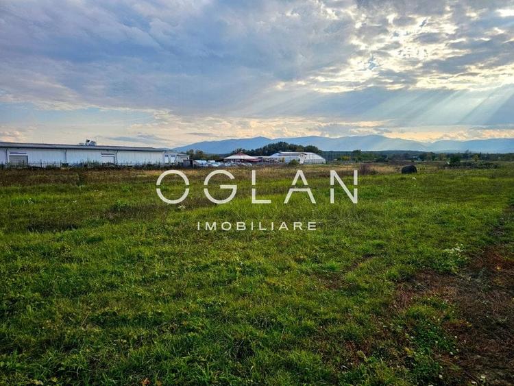 Teren Selimbar-DN1, comercial/industrial, COMISION 0% - 9