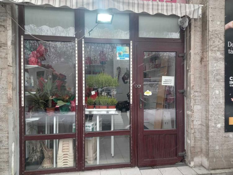 Vand spatiu gara de nord cu chirias stabil - 5