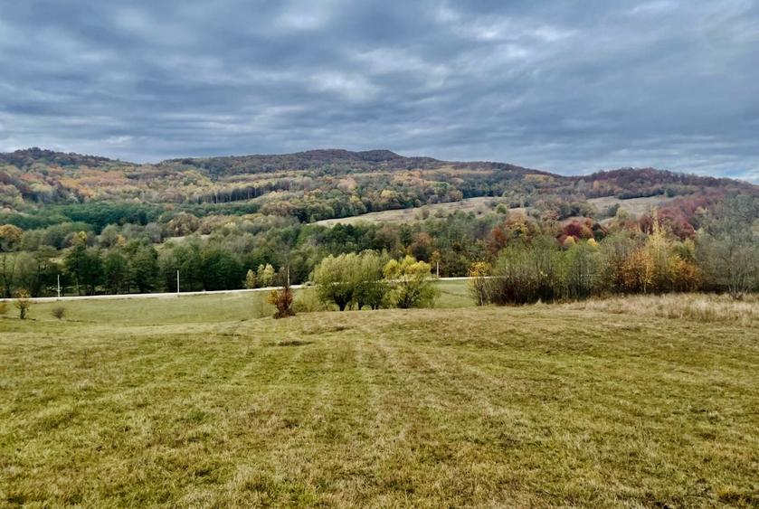 Teren la padure, panoramic dealuri si paduri, curent si asfalt - 6