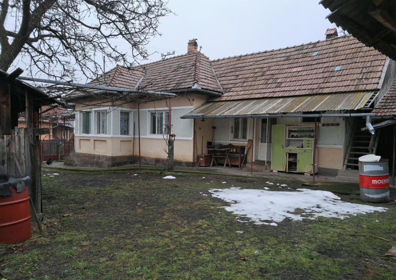 Casa de vanzare in Ibanesti - 2