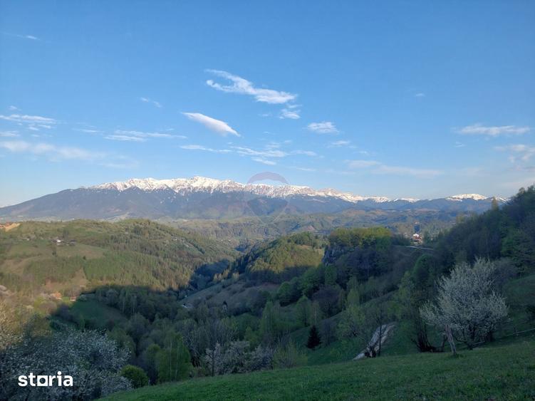 Teren de 11048 mp, în Moieciu