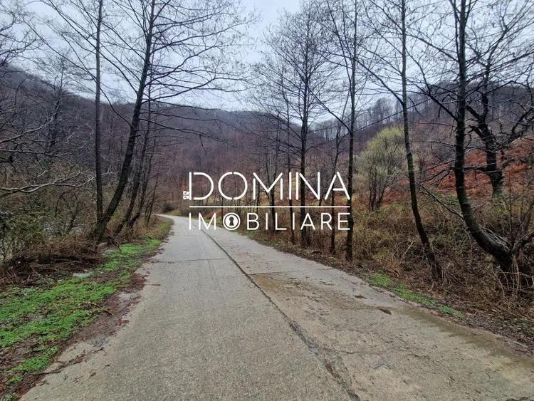 Vanzare teren, situat in Comuna Pe?ti?ani , sat Gureni - zona de munte - 3